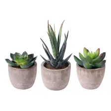 3un Planta Suculenta Artificial Decoração Vasinhos Arranjos Foto mini  3