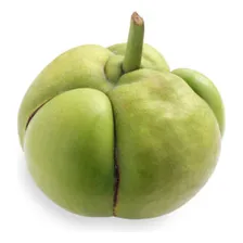 4 Frutos +1 Maçã Elefante Dilênia Artrite Artrose Dor Foto mini 1