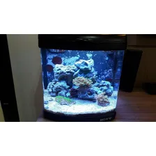 4 Luminárias Led Colors 22cm Aquário Marinho Boyu Reef Foto mini  2