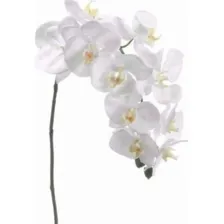 4 Orquídeas Artificial Toque Real Silicone Branca Flor Decor Cor Branco Foto mini  3