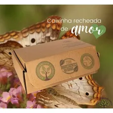 4 Sabonetes Veganos De Ărvores BĂblicas. Naturais, Orgânicos Foto mini 3