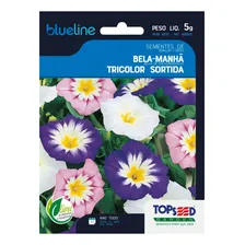 400 Sementes De Flor Bela-manhã Topseeds Selecionadas Foto  mini 1