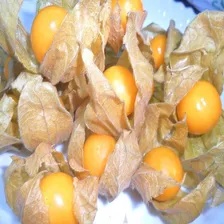 400 Sementes Physalis Foto mini 4