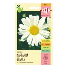 435 Sementes De Margarida Gigante Branca Flor/jardim/horta Foto mini 4