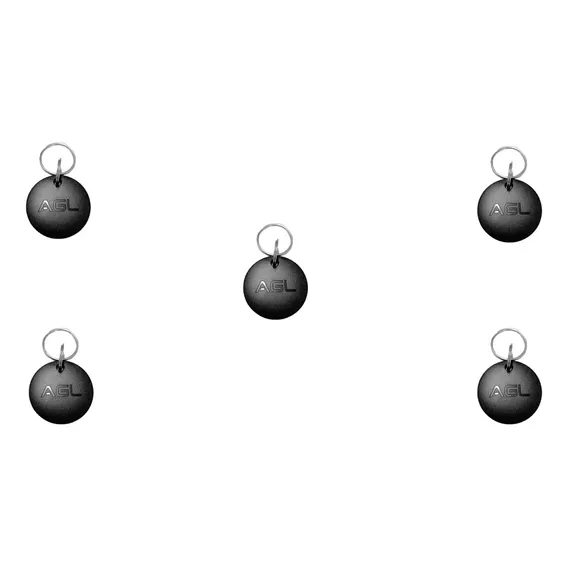 5 Chaveiro Tag Token Tag Lf 125khz - Agl Foto 1