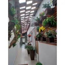 5 Telhas Romana Transparente Policarbonato Llev Telhado Foto mini 2