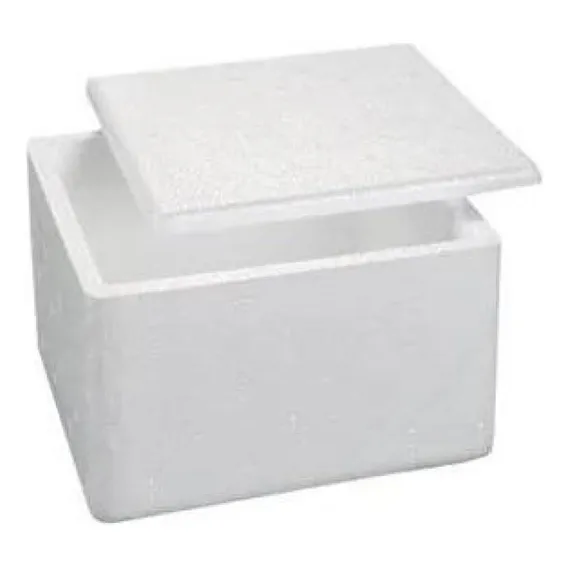 5 Un De Caixa Isopor Pequena 1kg - 1l Medicamento, Vacina Foto 1