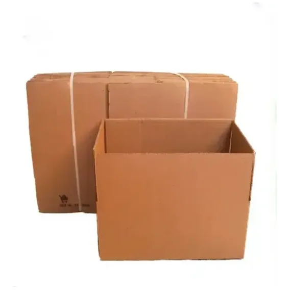 50 Caixas Papelao 24x15x10 Correio Sedex Pac Cor Não Aplica Foto 1