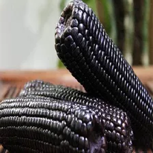 50 Sementes De Milho De Cor Preta + Foto mini 2