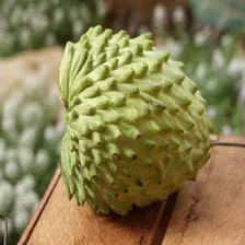 50 Sementes Fruta-do-conde Para Plantio + Foto mini 2