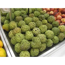 50 Sementes Fruta-do-conde Para Plantio + Foto mini 3