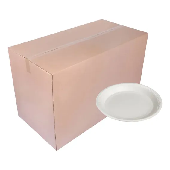 500 Prato Plastico Refeição 21cm Fundo Branco Termopot (1cx) Foto 1