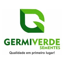 500 Semente De Sansão Do Campo Para Mudas Cerca Viva Foto mini 3