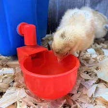 6 Bebedouros Automático Para Aves Galinhas - Copo De Água Cor Vermelho Foto mini 4