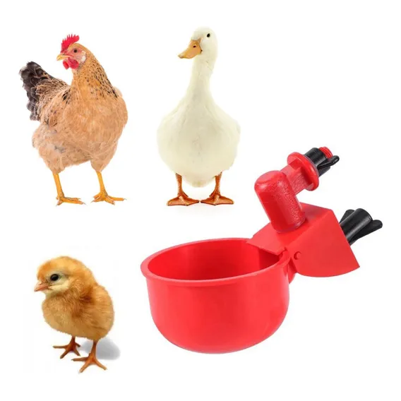 6 Bebedouros Automático Para Aves Galinhas - Copo De Água Cor Vermelho Foto 1