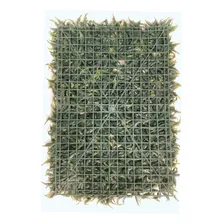 6 Placas Samambaia Artificial 40x60 Jardim Vertical Folha Foto mini 2