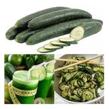 60 Sementes Pepino Japonês Foto mini 1