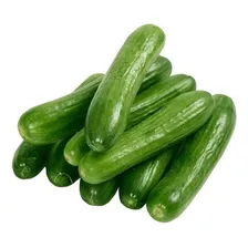60 Sementes Pepino Japonês Foto mini 3