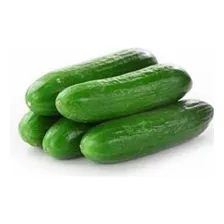 60 Sementes Pepino Japonês Foto mini 2