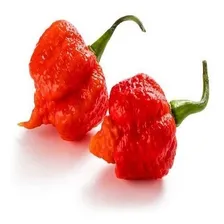 80 Sementes Pimenta Carolina Reaper Foto mini 1