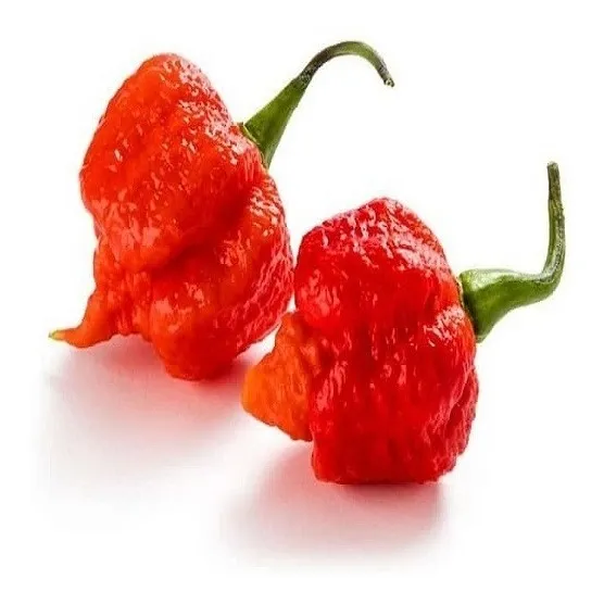 80 Sementes Pimenta Carolina Reaper Foto 1