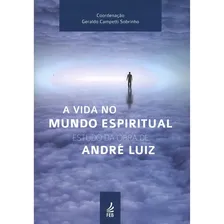 A Vida No Mundo Espiritual Foto mini  2