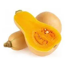 Ab贸bora Butternut - 12g = 140 Sementes Aproximado Foto mini 1