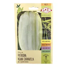 Abobora Nova Caravela - 3gr De Sementes / Planta Vigorosa Foto mini 1