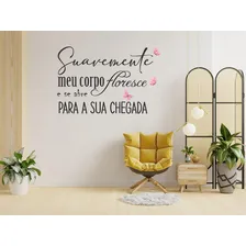 Adesivo Decorativo Frases Parto Humanizado Suavemente Foto mini  2