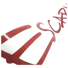 Adesivo Escapade Peugeot 206 Sw Emblema Lateral Vermelho Foto mini 3