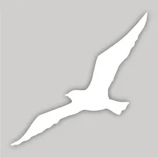 Adesivo Passaro Anticolisão Para Vidro Cor Branco Foto  mini 1