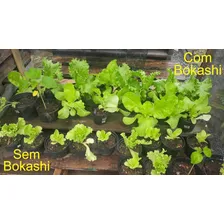 Adubo Fertilizante Bio Bokashi OrquÃdeas Bonsais Flores 1 Kg Foto mini 4