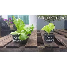 Adubo Fertilizante Bio Bokashi OrquÃdeas Bonsais Flores 1 Kg Foto mini 2