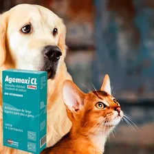 Agemoxi Cl 250mg Antibiotico Amplo Espectro 10 Comprimidos Foto mini 2