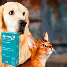 Agemoxi Cl 50mg Antibiotico Amplo Espectro 10 Comprimidos Foto mini 3