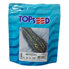 Agristar Topseed sementes de abobora mini paulista Pcte Com 100g Foto mini 1