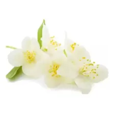Água De Flor De Laranjeira 240 - Mechaalany Foto mini 4