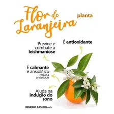 Água De Flor De Laranjeira 240 - Mechaalany Foto mini 3