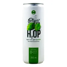 Agua Lupulada Gaseificada Araucaria 350ml Sem Alcool Vegano Foto  mini 1