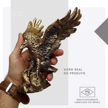 Aguia Dourada Da Sabedoria Estatua Decorativa Resina 17,5cm Cor Dourado Foto mini 4