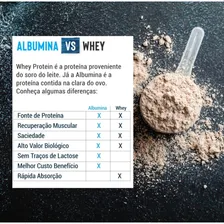 Albumina Desidratada 500g Sabor Chocolate - Proteína Pura Foto mini 3
