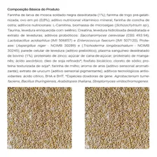 Alcon Club Farinhada Psitacídeos 250g Super Premium Kit C/ 3 Foto mini 3