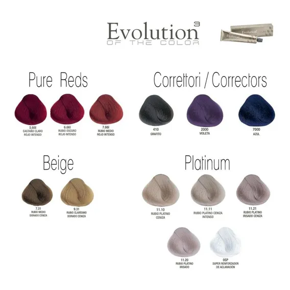 Alfaparf Evolution Alfaparf Evolution Foto 1