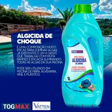 Algicida De Cobre Para Piscina 1 Litro Limpeza Profunda Foto mini 2