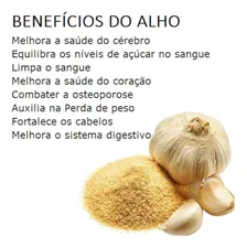 Alho Em Pó Puro Desidratado 1kg Foto mini  2