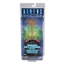 Aliens: Xenomorph Egg E Facehugger - Neca Foto mini 1