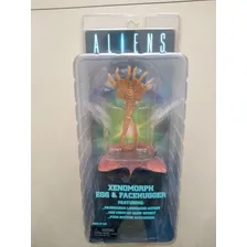 Aliens: Xenomorph Egg E Facehugger - Neca Foto mini 2