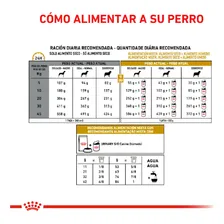 Alimento Royal Canin Veterinary Diet Canine Urinary S/O para cãe adulto de 10 kg Foto mini 2