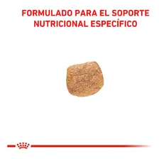 Alimento Royal Canin Veterinary Diet Canine Urinary S/O para cãe adulto de 10 kg Foto mini 3