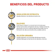 Alimento Royal Canin Veterinary Diet Canine Urinary S/O para cãe adulto de 10 kg Foto mini 4